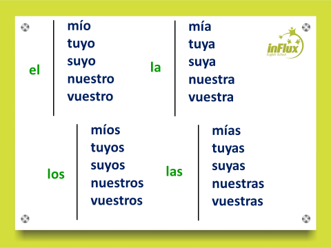 Pronome possessivo em inglês: Aprenda aqui - Seu Idioma