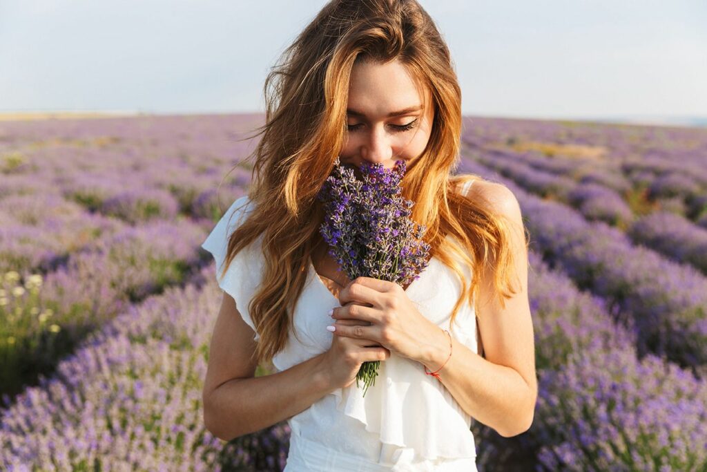 cheiro de + inFlux Blog + lavender