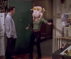 aprenda inglês com a série Friends - Monica friends - turkey head