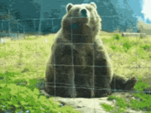 o que significa "bear with me" em inglês - inFlux Blog